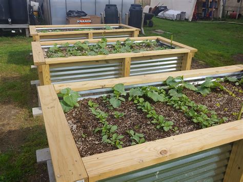Diy Raised Garden Beds Corrugated Metal