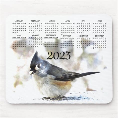 Animals And Pets, Cute Animals, Titmouse Bird, Nature Calendar, Pet Mice, Fun Mouse Pad ...