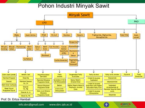 Produk Turunan Kelapa Sawit - Homecare24