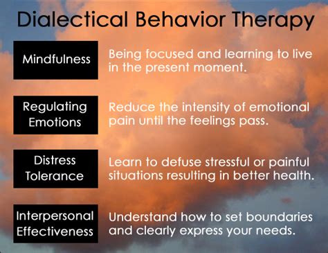 Some info about The Dialectical Behavior Therapy Skills Workbook