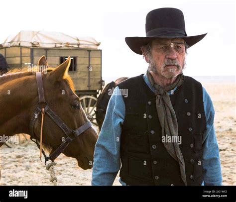 TOMMY LEE JONES, THE HOMESMAN, 2014 Stock Photo - Alamy