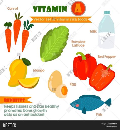 Vitamins Minerals Foods Vector & Photo | Bigstock