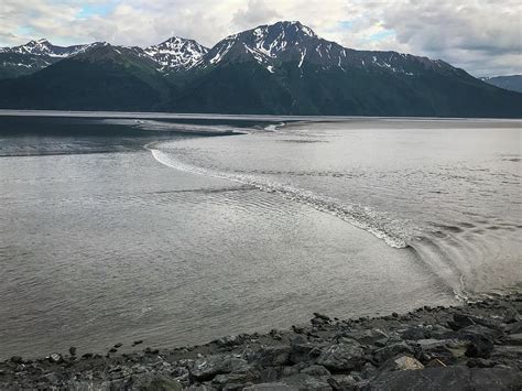 Bore Tide in Turnagain Arm Photograph by Ed Stokes - Pixels