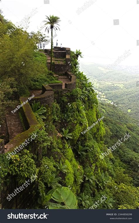 288 imágenes, fotos de stock, objetos en 3D y vectores sobre Sinhagad ...