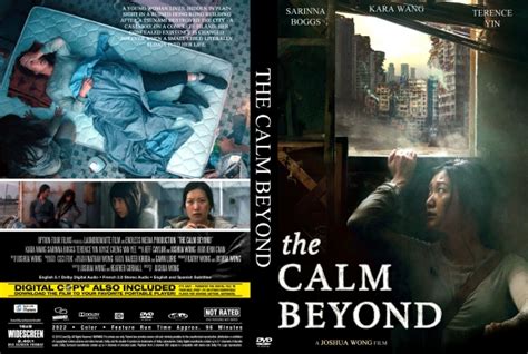 CoverCity - DVD Covers & Labels - The Calm Beyond