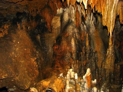 Florida-Caverns-State-Park-Marianna-FL-077