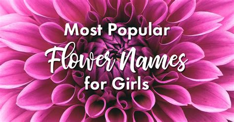 Most Beautiful Flower Names | Best Flower Site