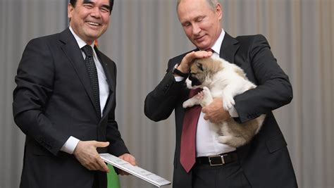 Vladimir Putin cuddles new puppy named Verny