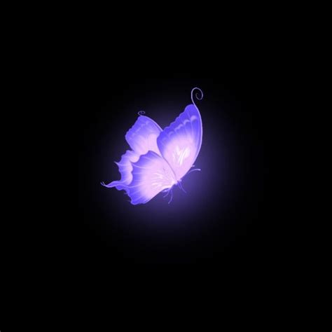 Dark Purple Aesthetic Butterfly Wallpaper iPhone