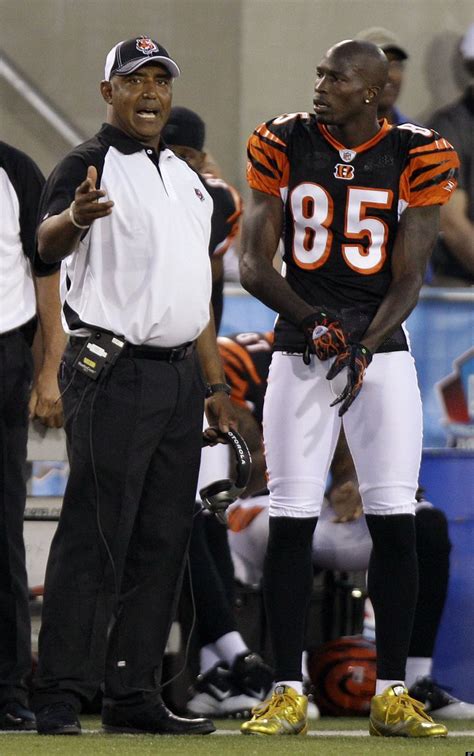 Marvin Lewis: Bill Belichick Too Smart To Pursue Ochocinco | HuffPost ...