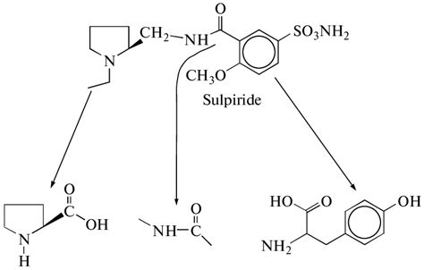 Peptide structural elements of sulpiride. | Download Scientific Diagram