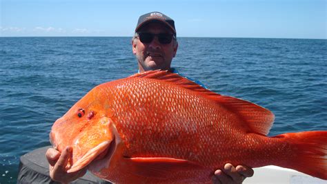 Rainbow Beach Fishing Charters