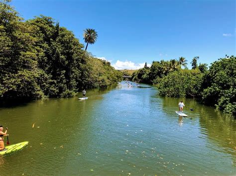 Haleiwa Beach Park - 2019 All You Need to Know BEFORE You Go (with ...