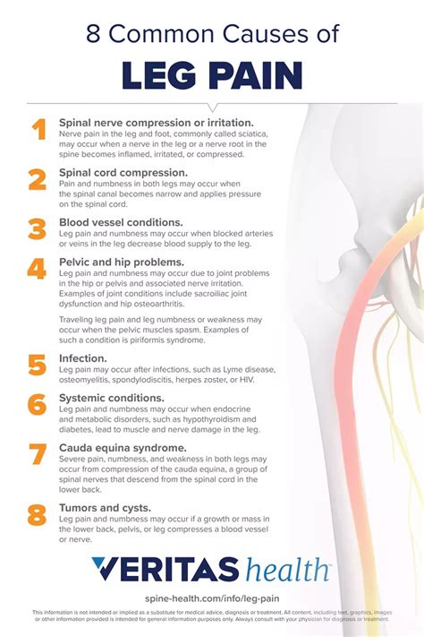 Leg pain and numbness what might these symptoms mean – Artofit