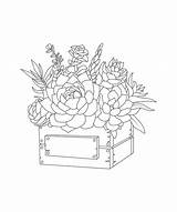 Cactus And Succulent Printable Adult Coloring Pages sketch template
