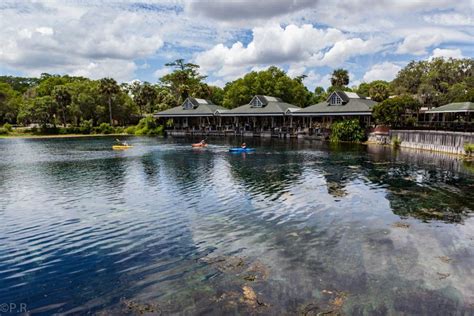 The Springs inside the Silver Springs State Park - Gate to Adventures