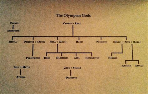 Greek Mythology Family Tree Starting With Zeus