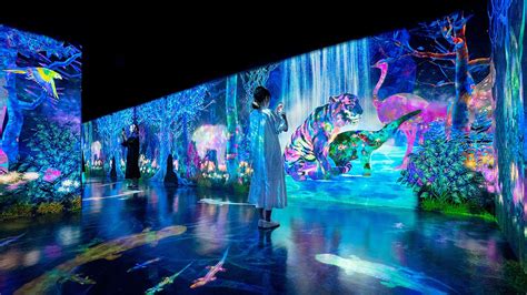 teamLab's New Digital Exhibition Makes The Immersive Interactive Too - Jing Culture & Crypto