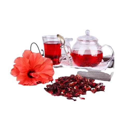 (Sobolo) Hibiscus calyx -100g - Rafamall