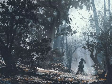 Haunted or mysterious? These incredible forests will leave you wanting ...