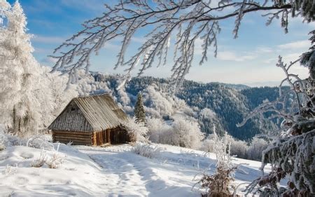 Winter in Poland - Winter & Nature Background Wallpapers on Desktop Nexus (Image 2588136)