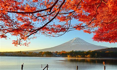 日本富士山河口湖賞楓時間-東京都景區攻略-HopeTrip專業旅遊網