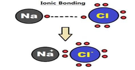 Ionic Interactions - QS Study