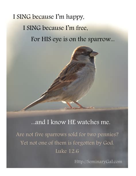 His Eye is on the Sparrow | Seminary Gal His Eye is on the Sparrow ...