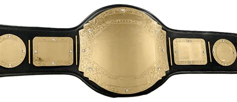 Stock Championship Belts | ProAmBelts