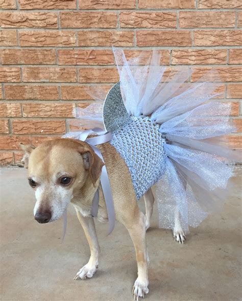 Shark Costume for Dogs Dog Costume Halloween Ideas Dog | Etsy