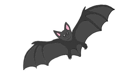 Pin by Kity on Art drawing | Draw a bat, Easy animal drawings, Drawings