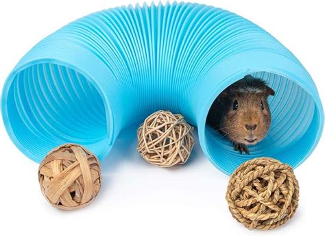 Amazon.com: guinea pig tubes and tunnels