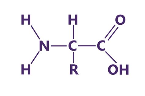 organic chemistry - Oxidation State of Amino Group - Chemistry Stack Exchange