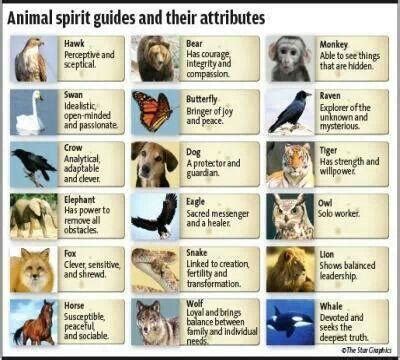 How to figure out your spirit animal? - Personality Quiz