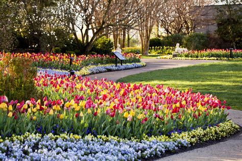 Watercolor Wreaths - Cheekwood