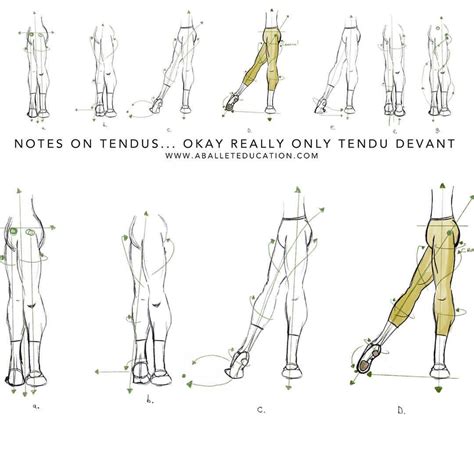 A Ballet Education on Instagram: “NEW POST: notes on tendus #tendu… Ballet Workout, Ballet Moves ...