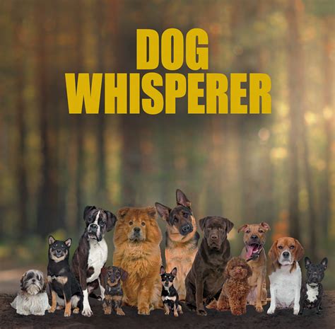 Dog Whisperer Makes 2 New License Deals | Pet Age