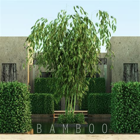 Bamboo 3D Models download - Free3D