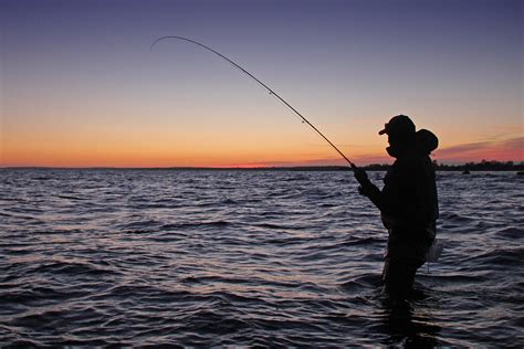 Photos | Fishing Guide Denmark