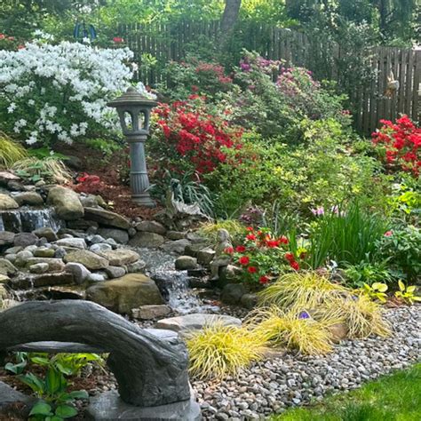 Judith’s Garden Adapting to Challenges - Fine Gardening