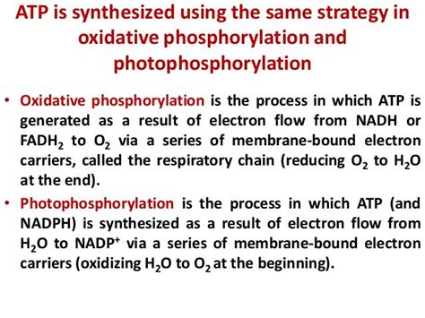 Atp synthesis