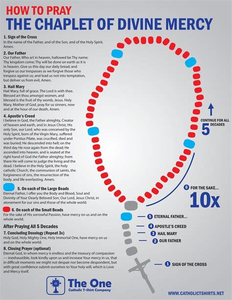 Infographic on how to pray the Chaplet of Divine Mercy Catholic Catechism, Catholic Beliefs ...