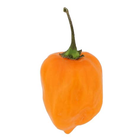 Fresh Habanero Peppers - Shop Peppers at H-E-B