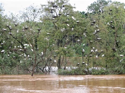 Mandagadde Bird Sanctuary - The little island of Mandagadde | Karnataka.com