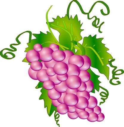 pink grapes clipart - Clip Art Library