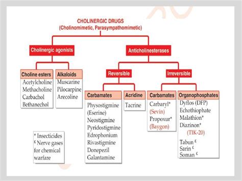 Cholinergic drugs