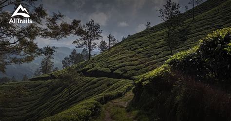 10 Best trails and hikes in Munnar | AllTrails