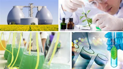 Industrial Biotechnology: To What Extent Is Responsible Innovation on the Agenda ...