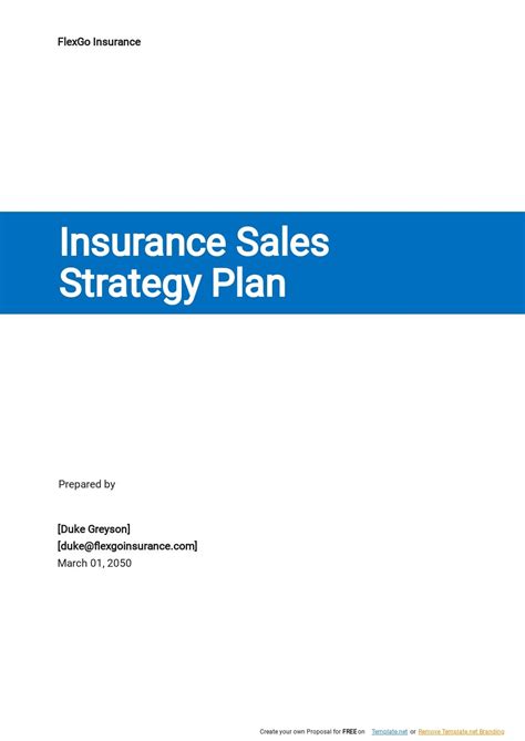 Insurance Business Plan Template