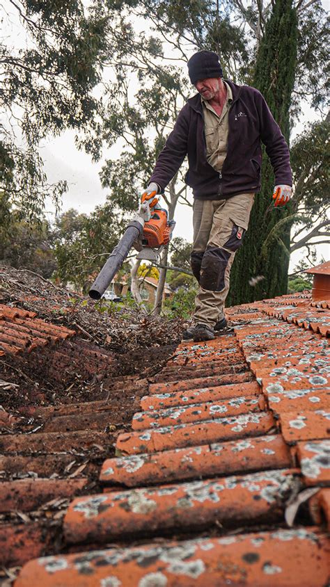 The most important tips to keep in mind while pressure cleaning your home roof - Roof Doctors